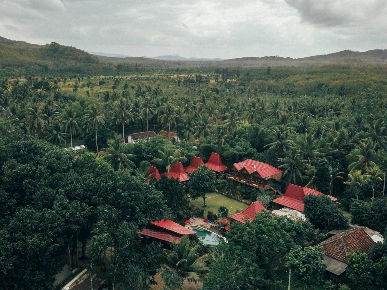 Hotel Mojosurf Camp Red Island Pasanggaran Esterno foto
